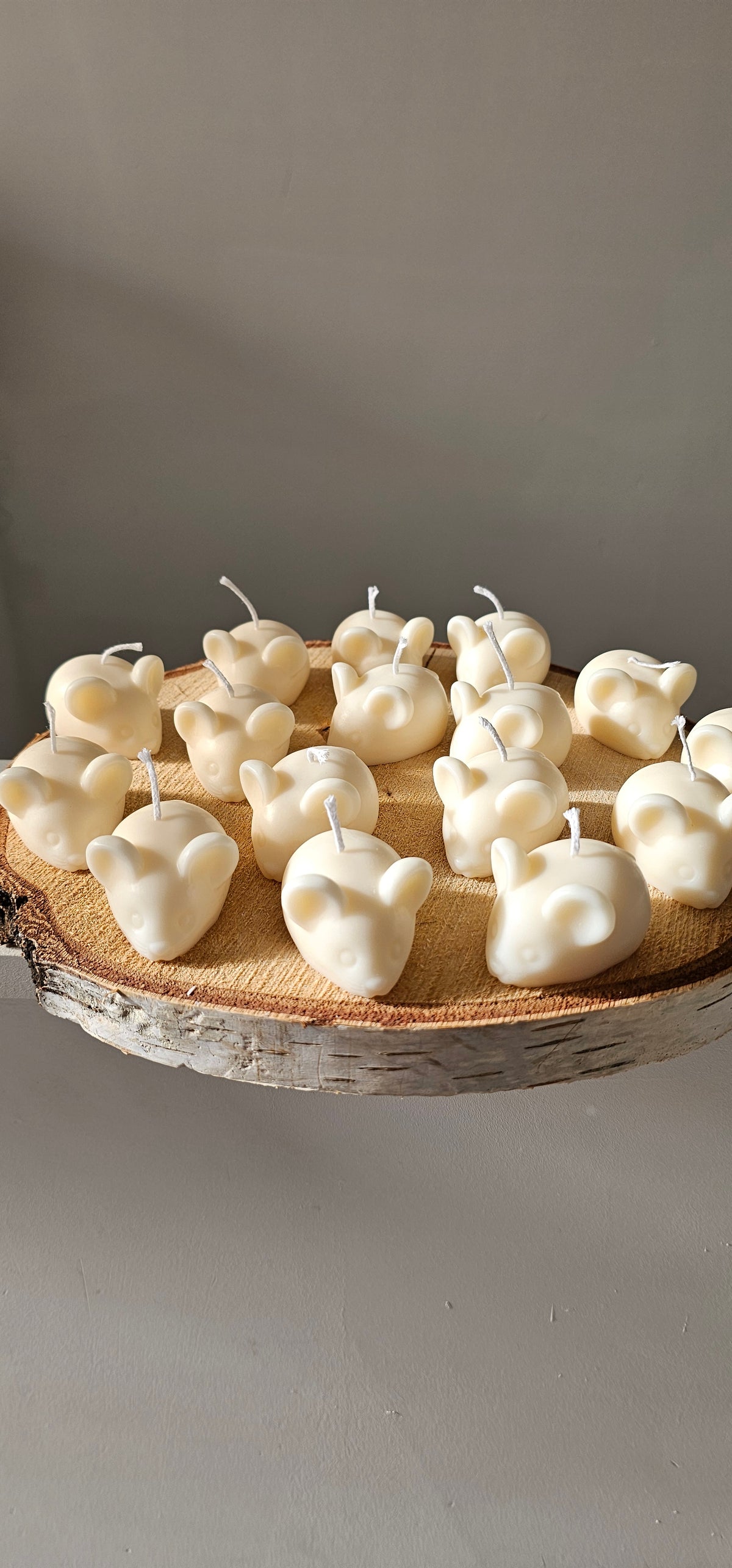 Lot 15 witte muisjes