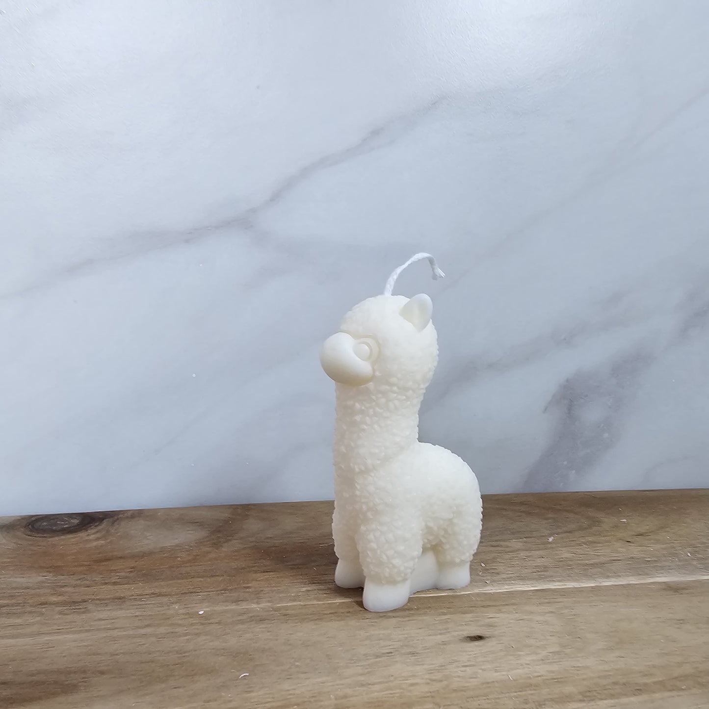 Alpaca