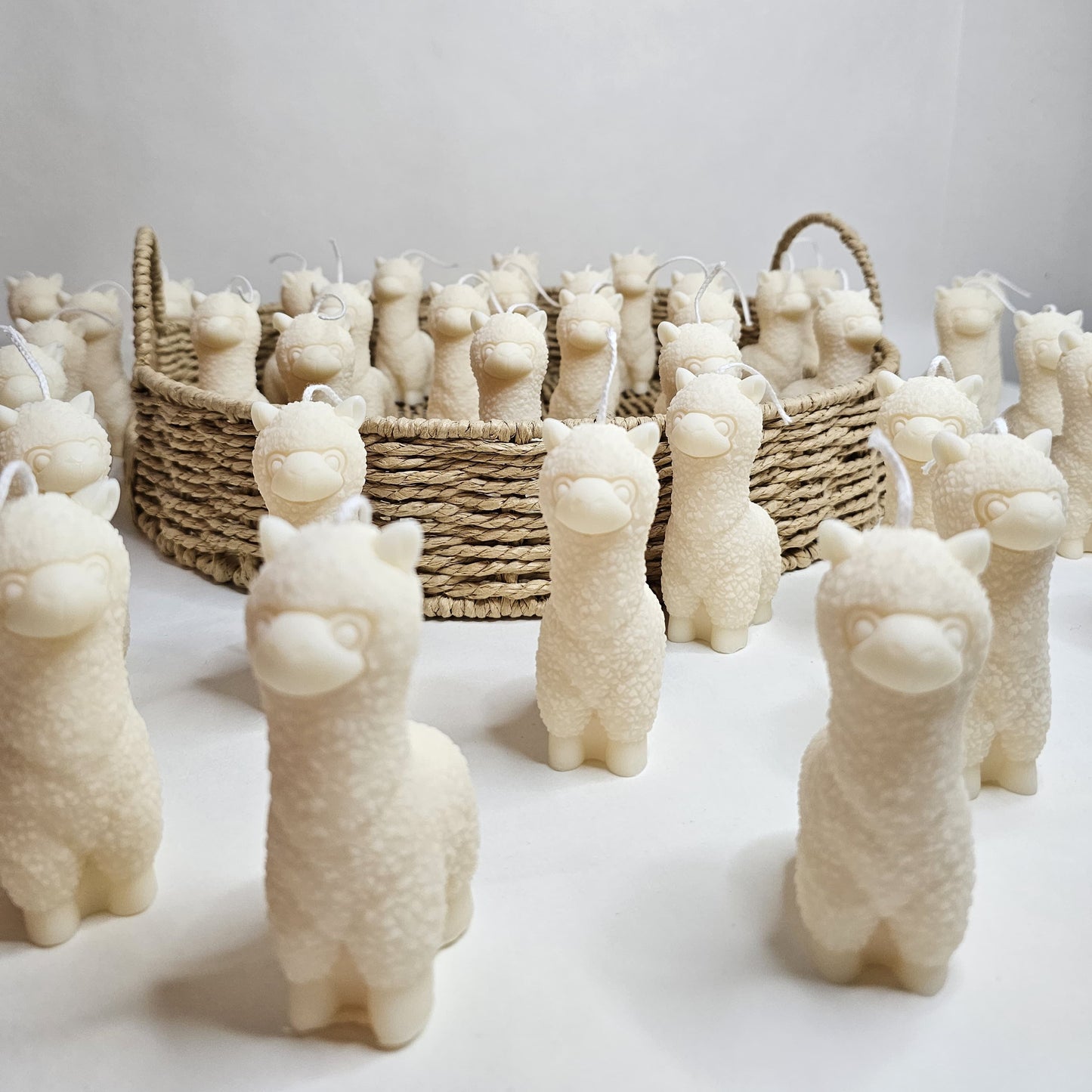 Alpaca