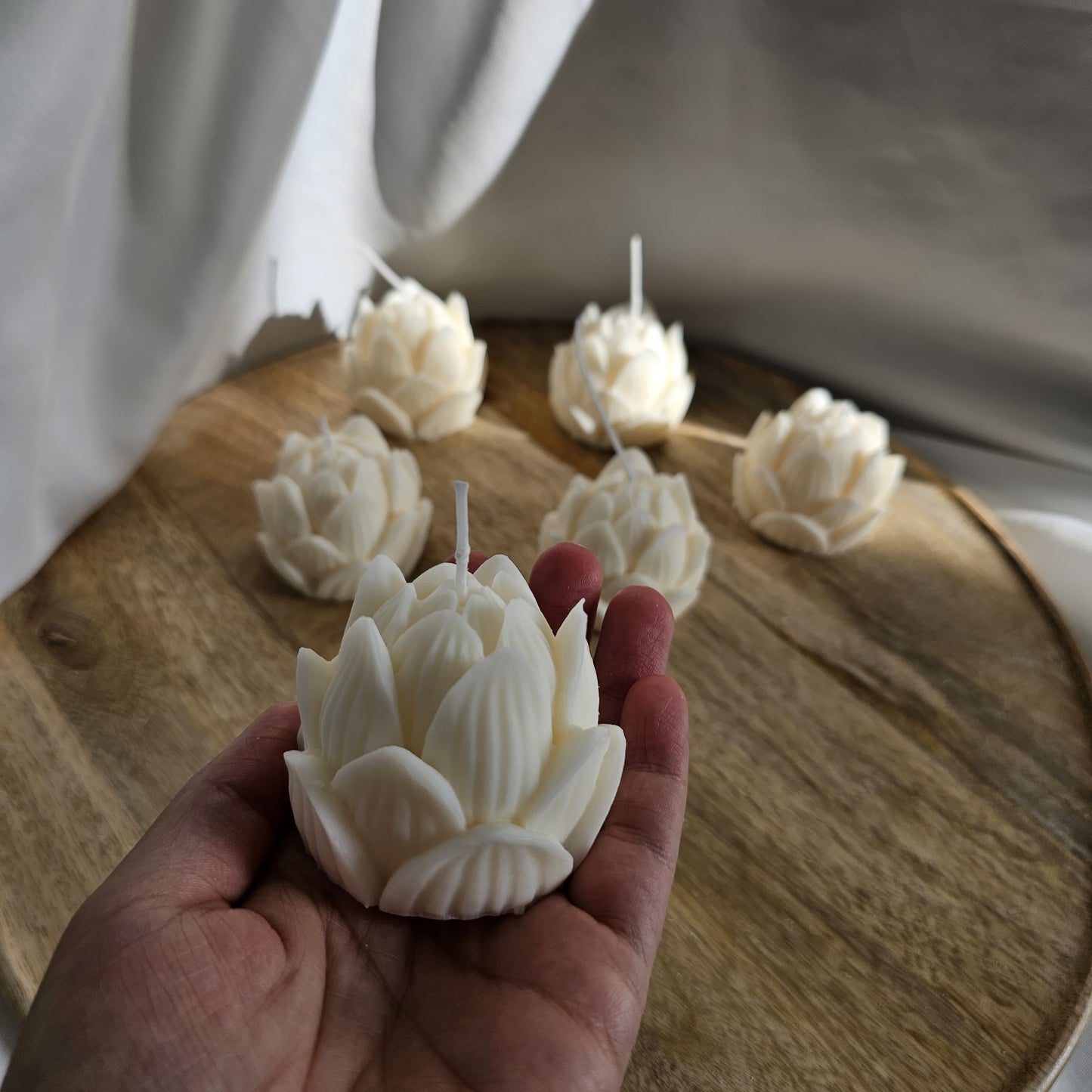 Lotus