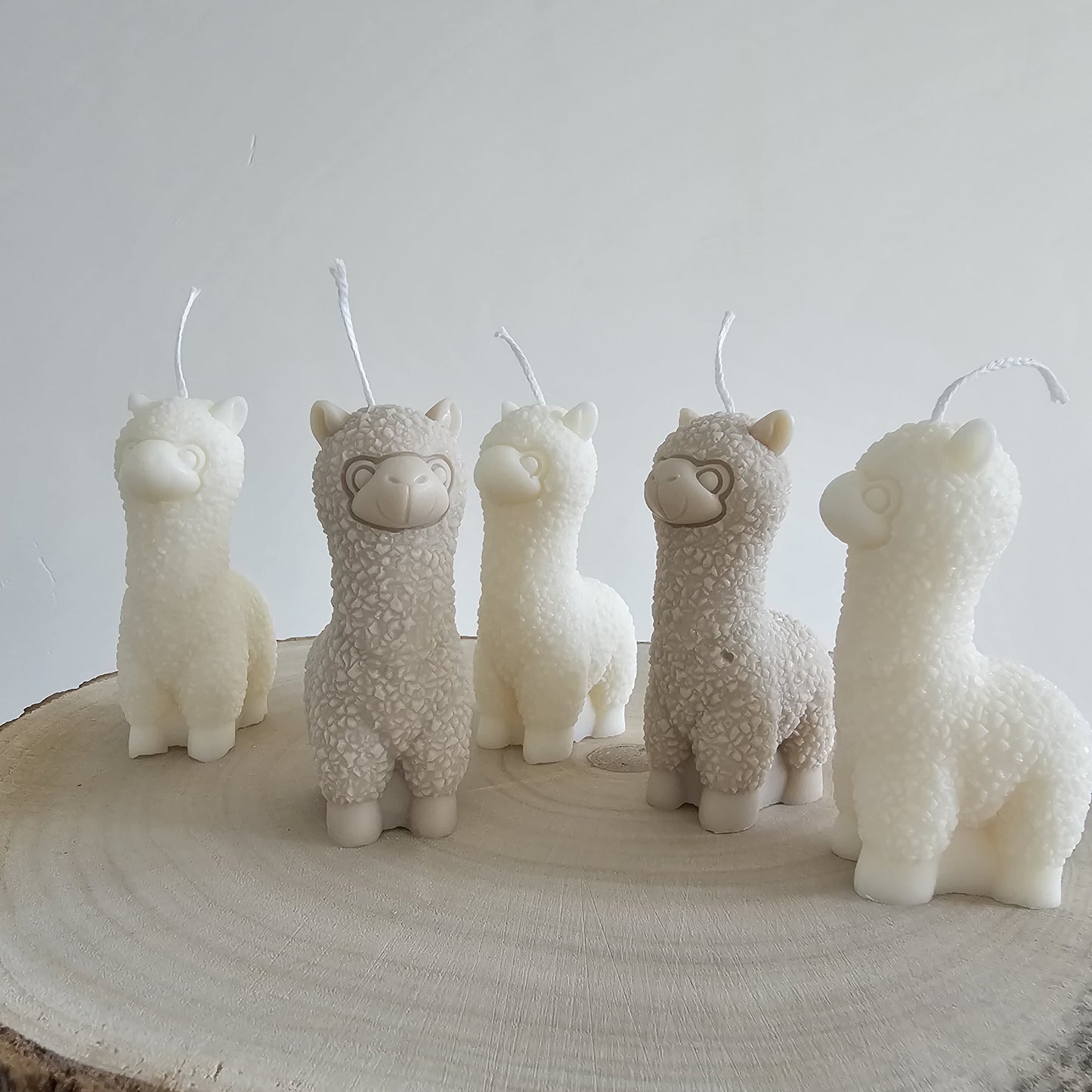 Alpaca