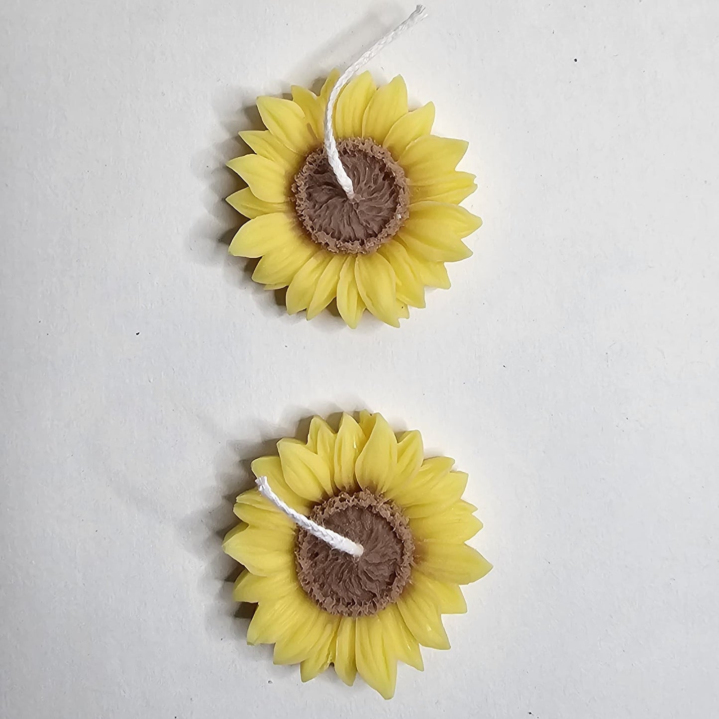 Zonnebloem