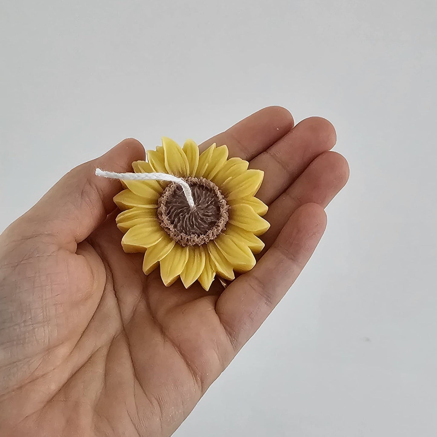 Zonnebloem