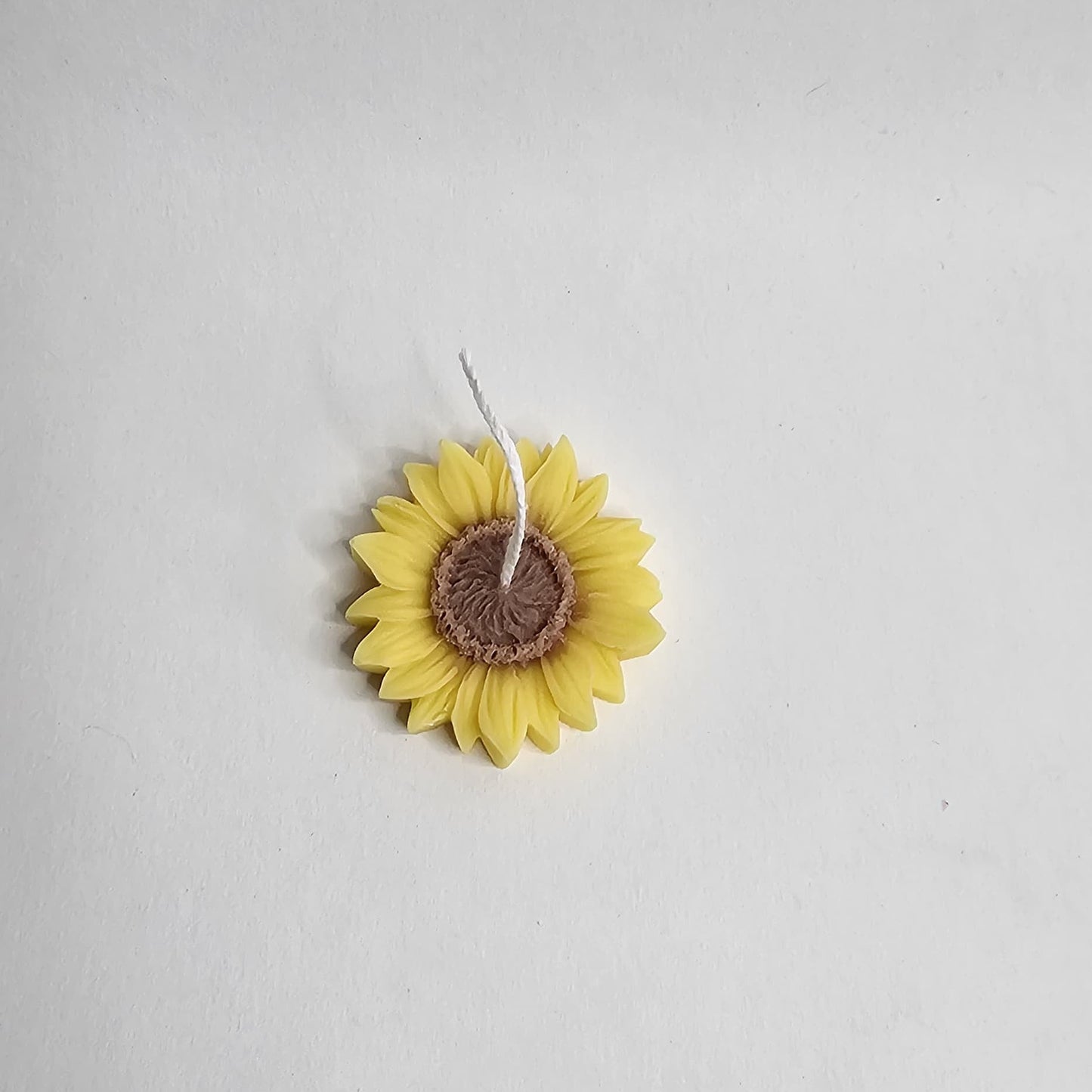 Zonnebloem