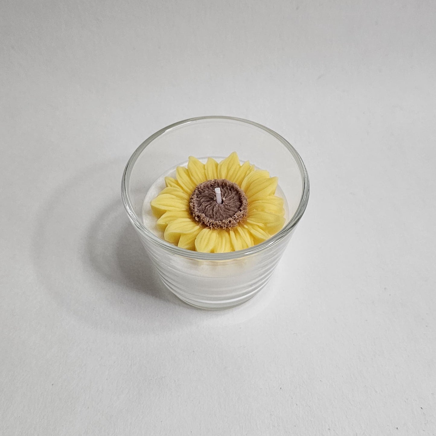 Zonnebloem in potje