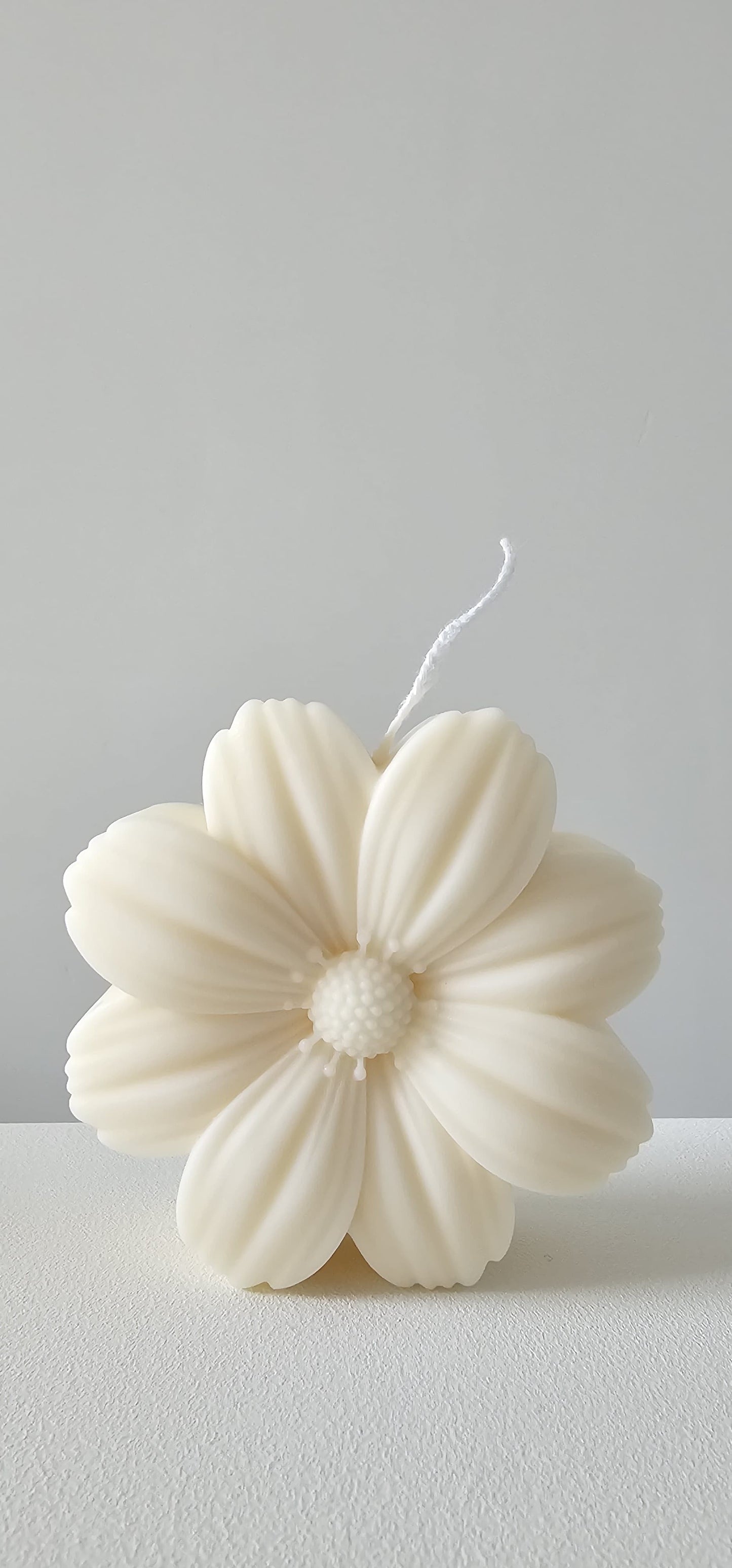 Bloem 2