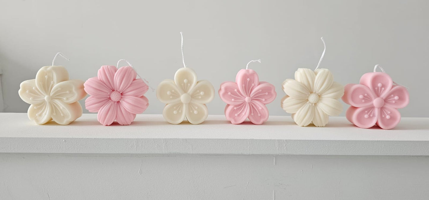 Bloem - Set