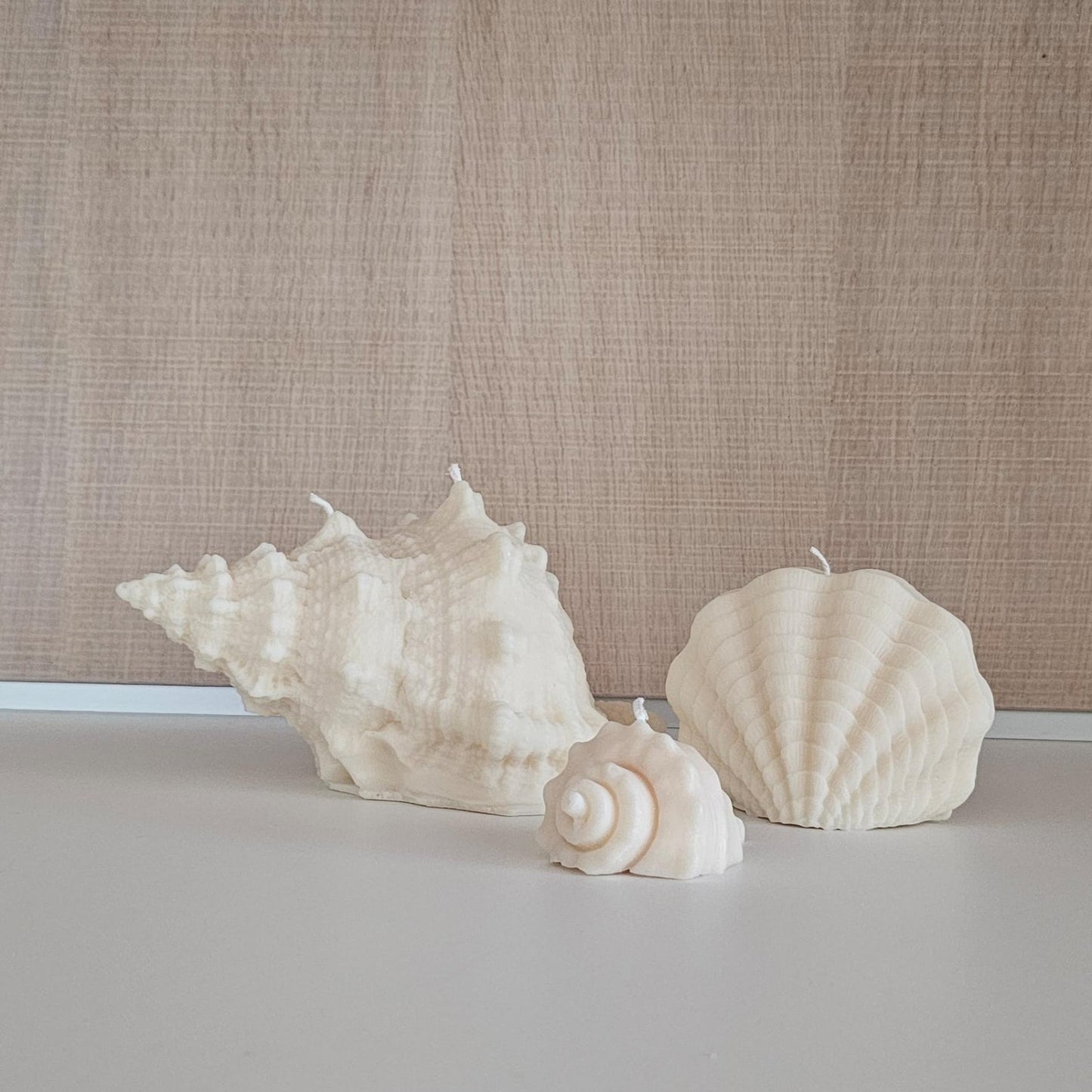 Schelpen - Set