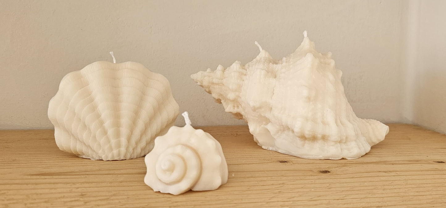 Schelpen - Set