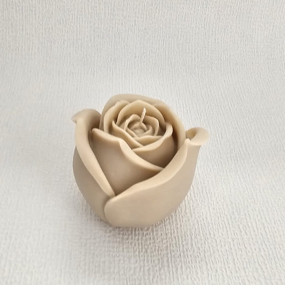 Rozen - S - M - L - XL