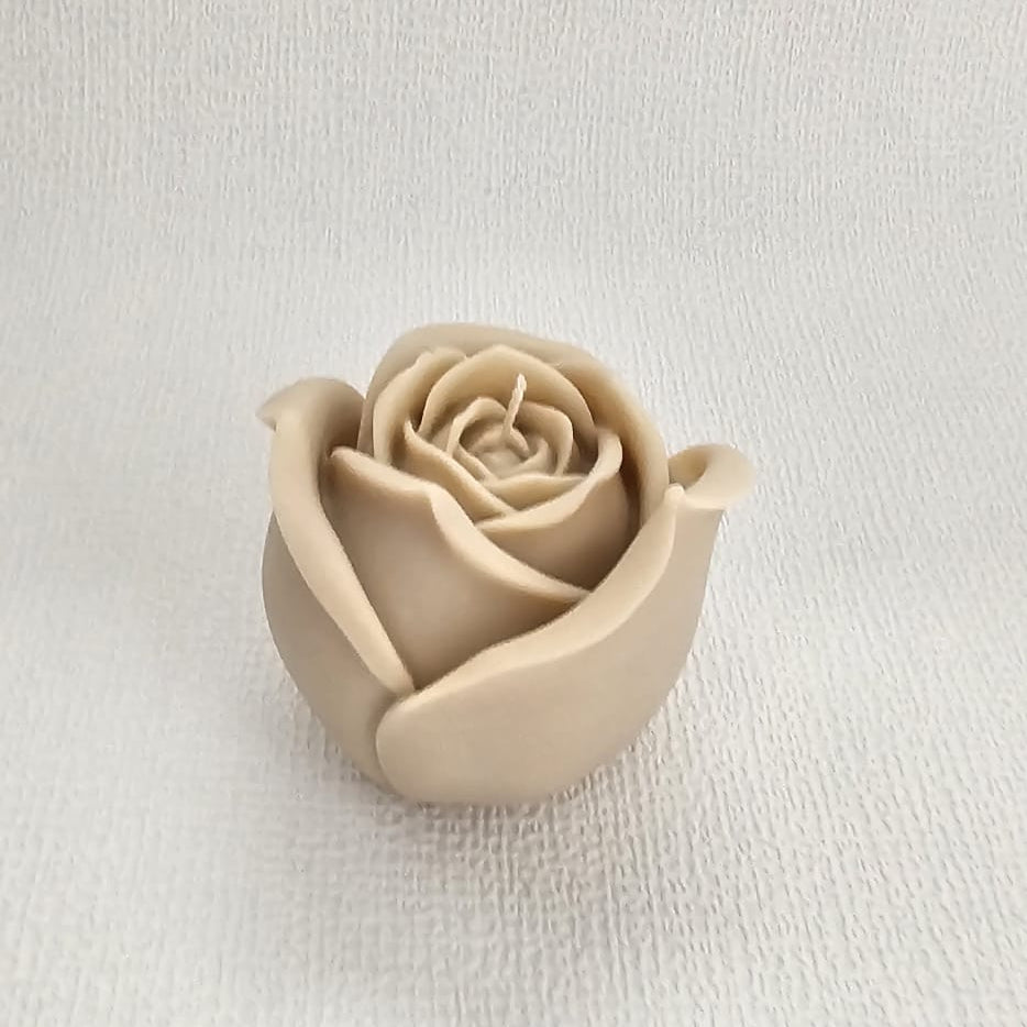 Rozen - S - M - L - XL