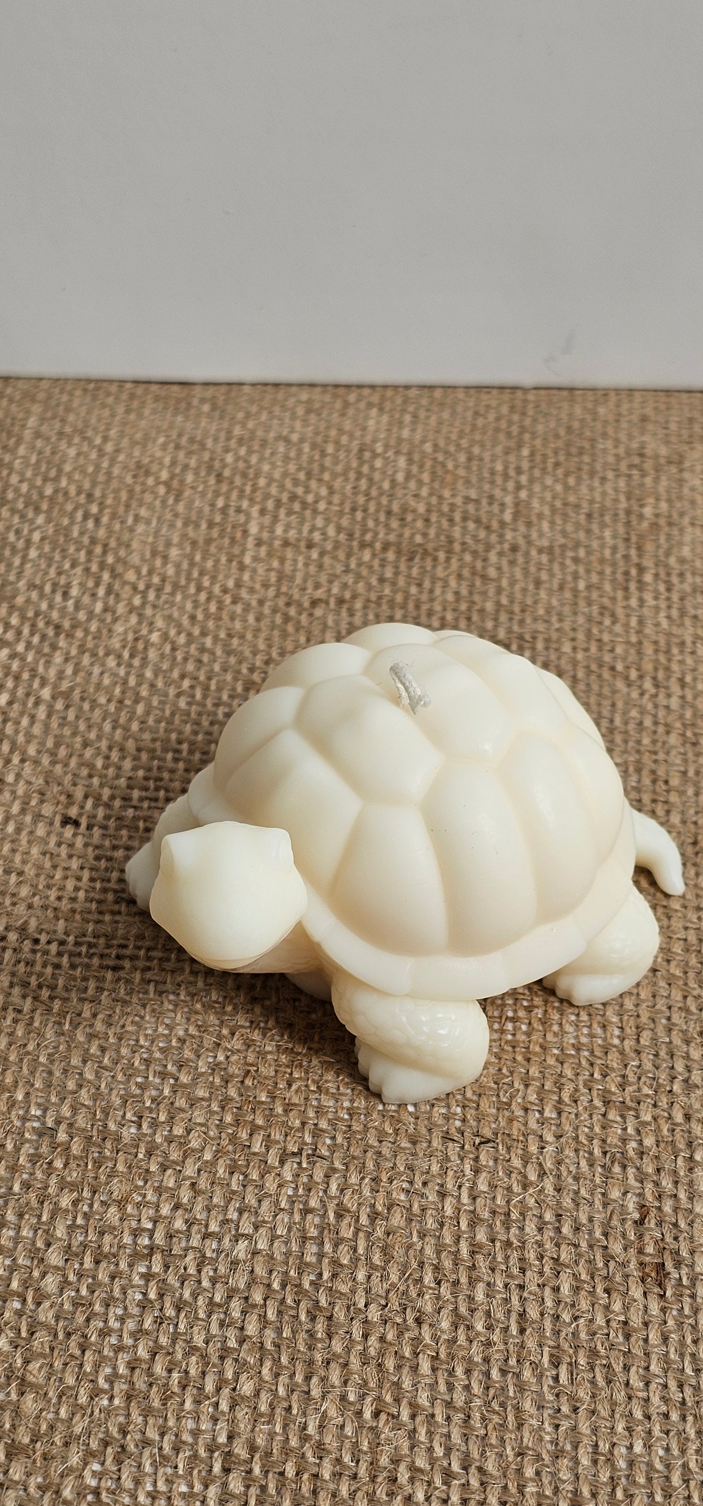 Schildpadje medium