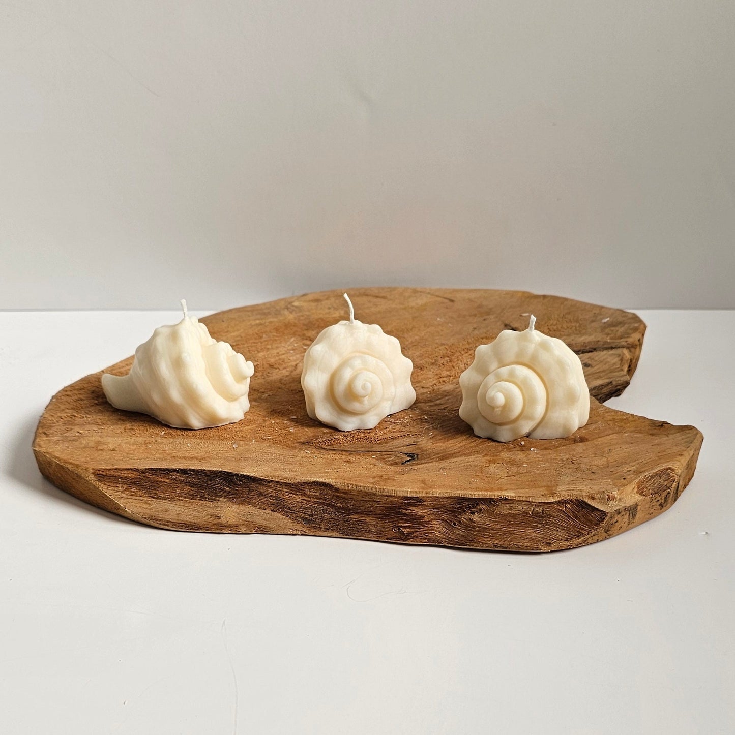 Schelp Twist Klein