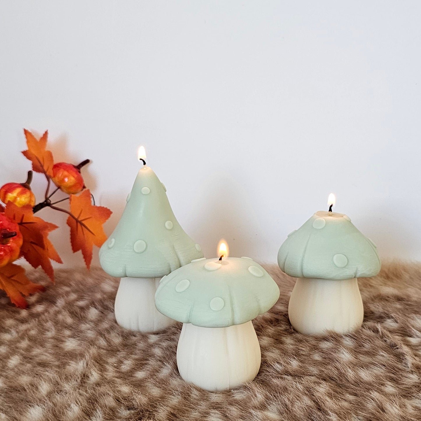 Set paddenstoelen