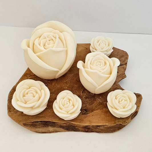 Rozen - S - M - L - XL