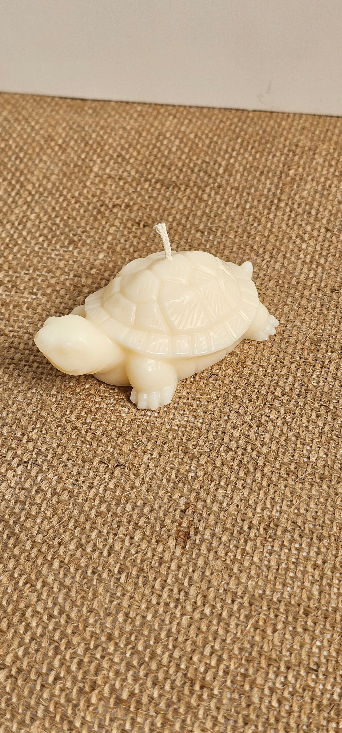 Schildpadje