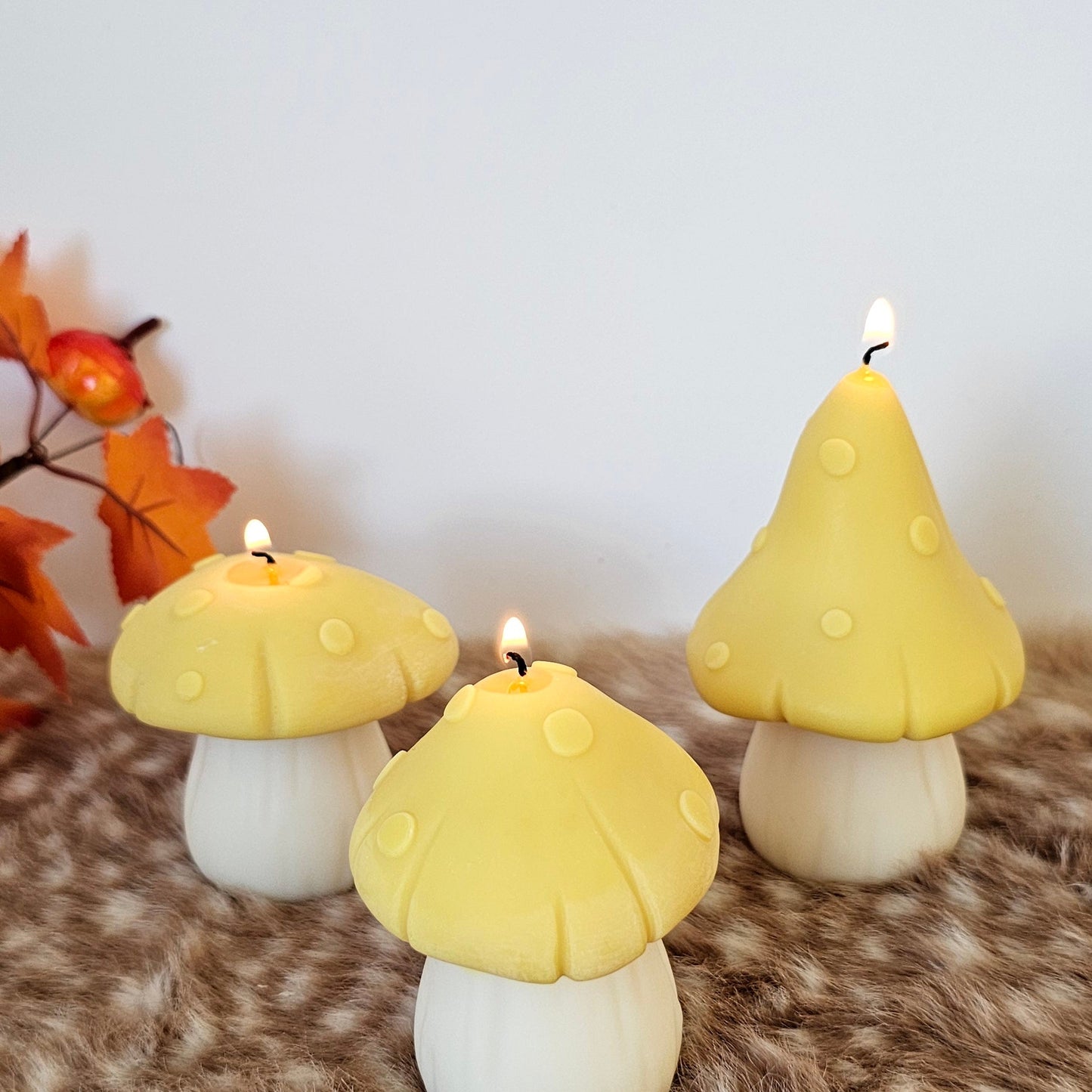 Set paddenstoelen