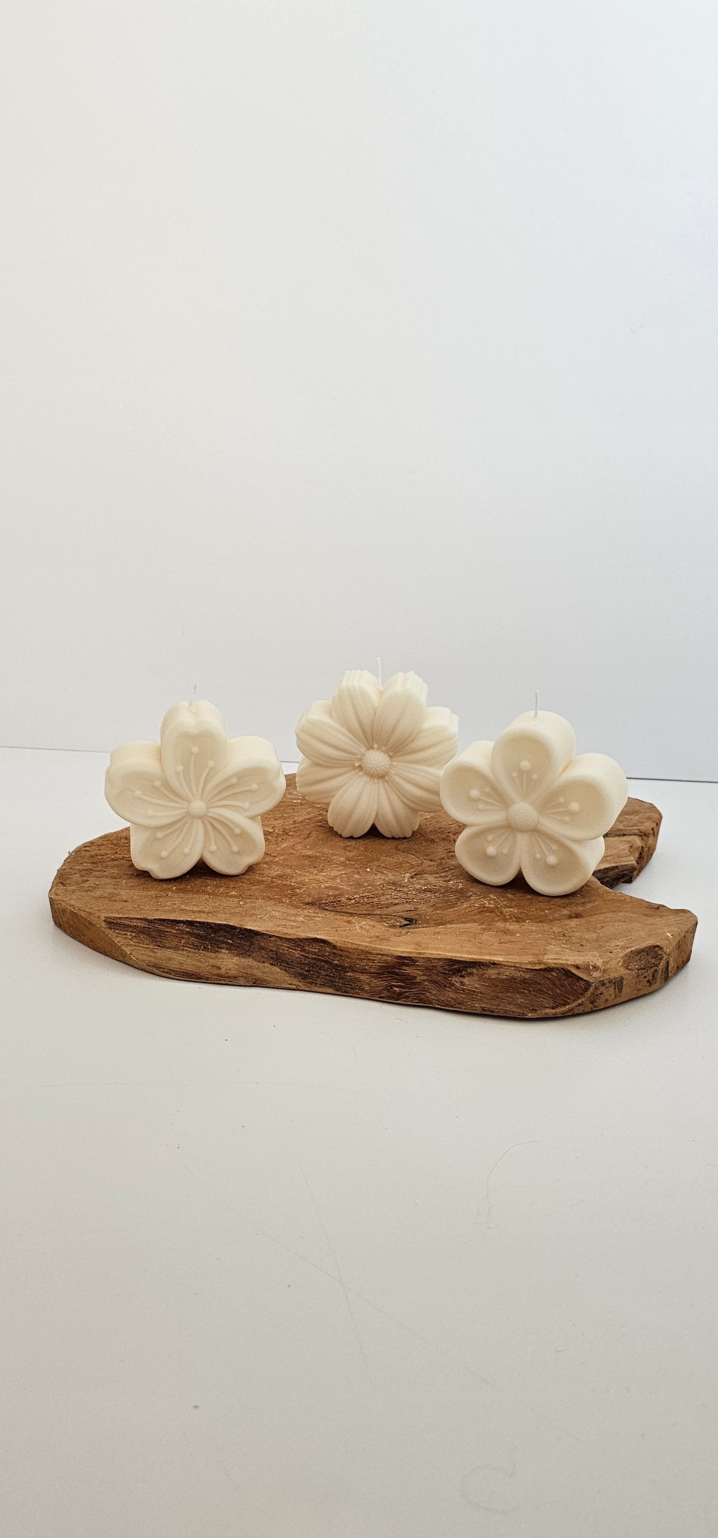Bloem - Set