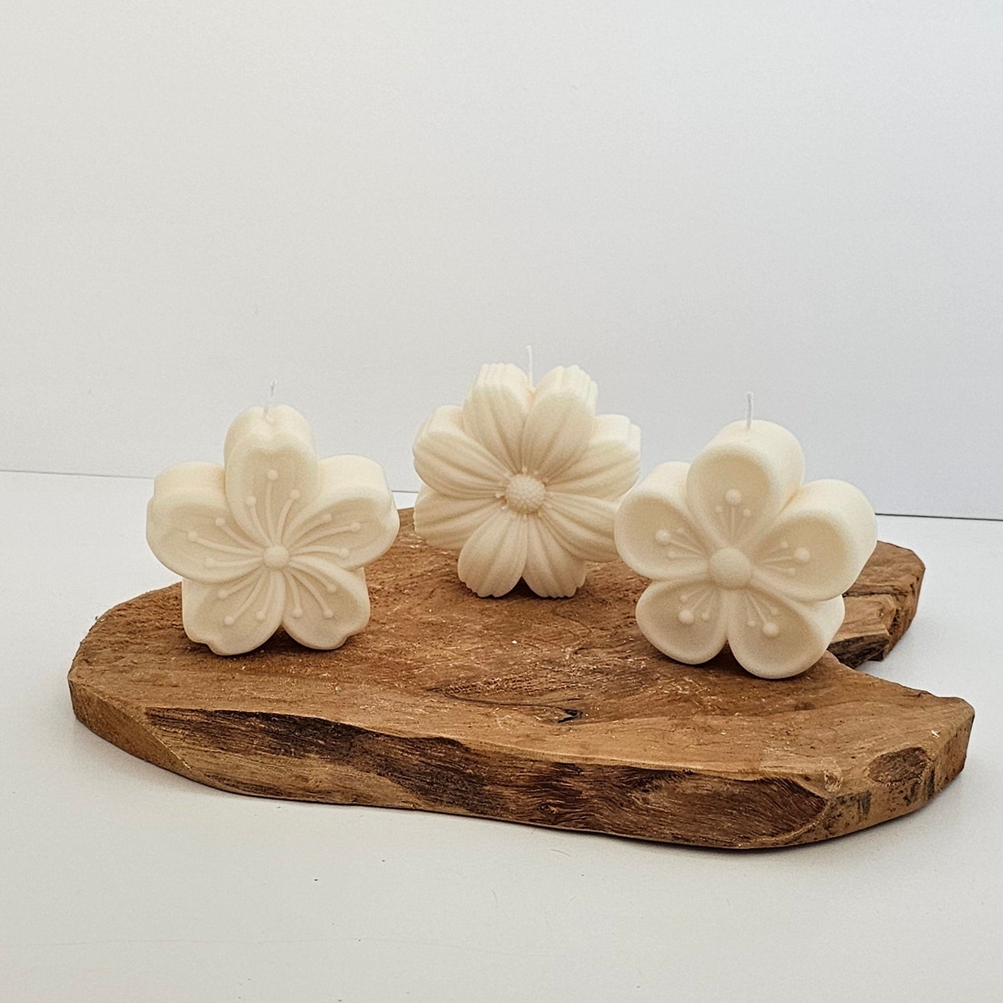 Bloem - Set