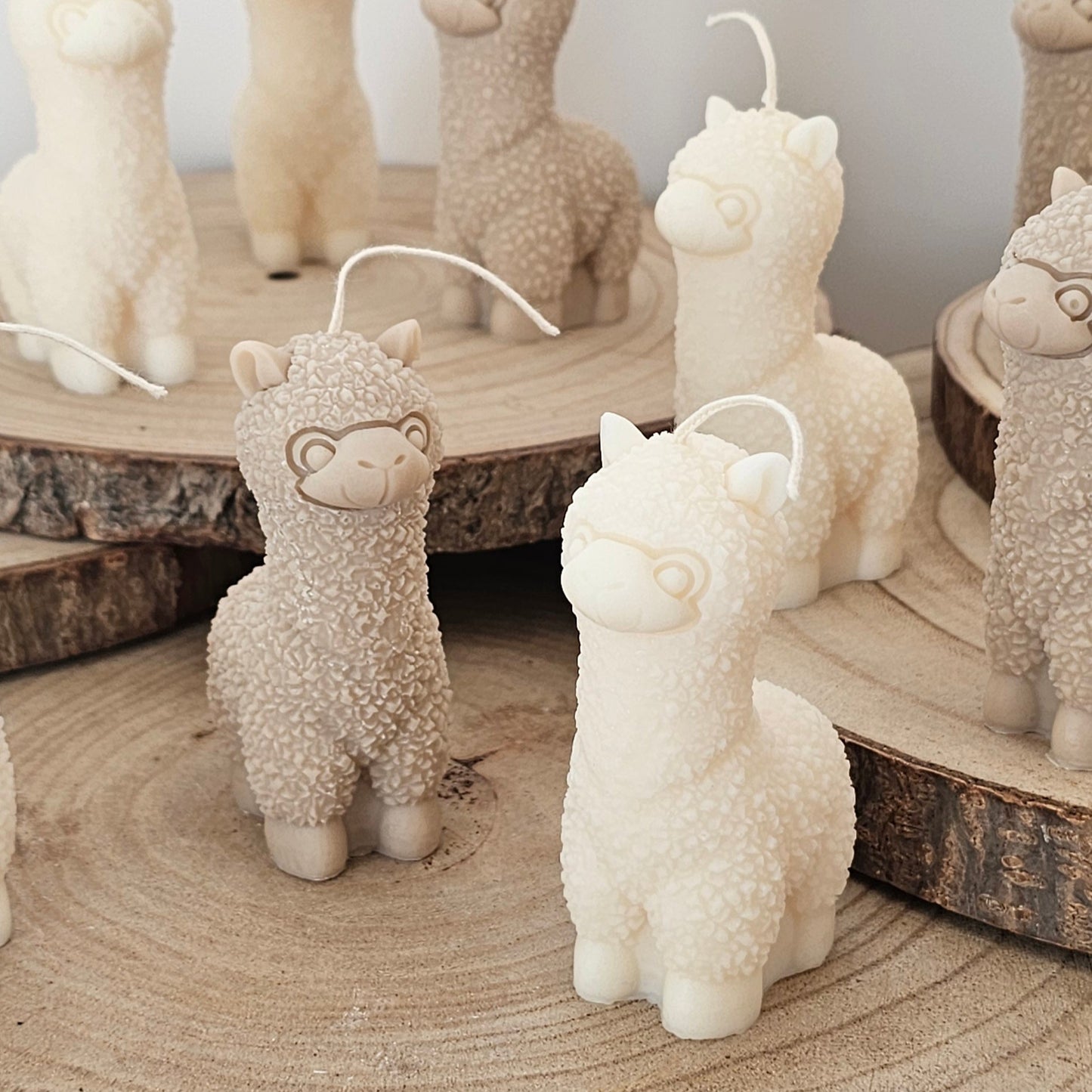 Alpaca