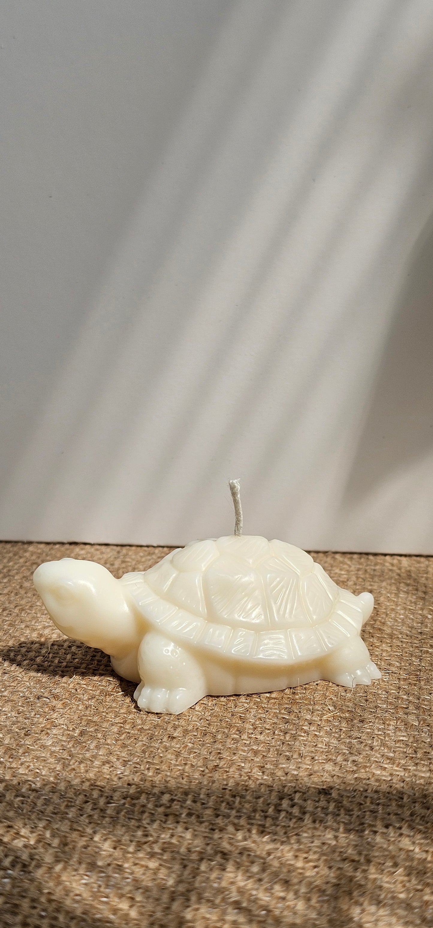 Schildpadje