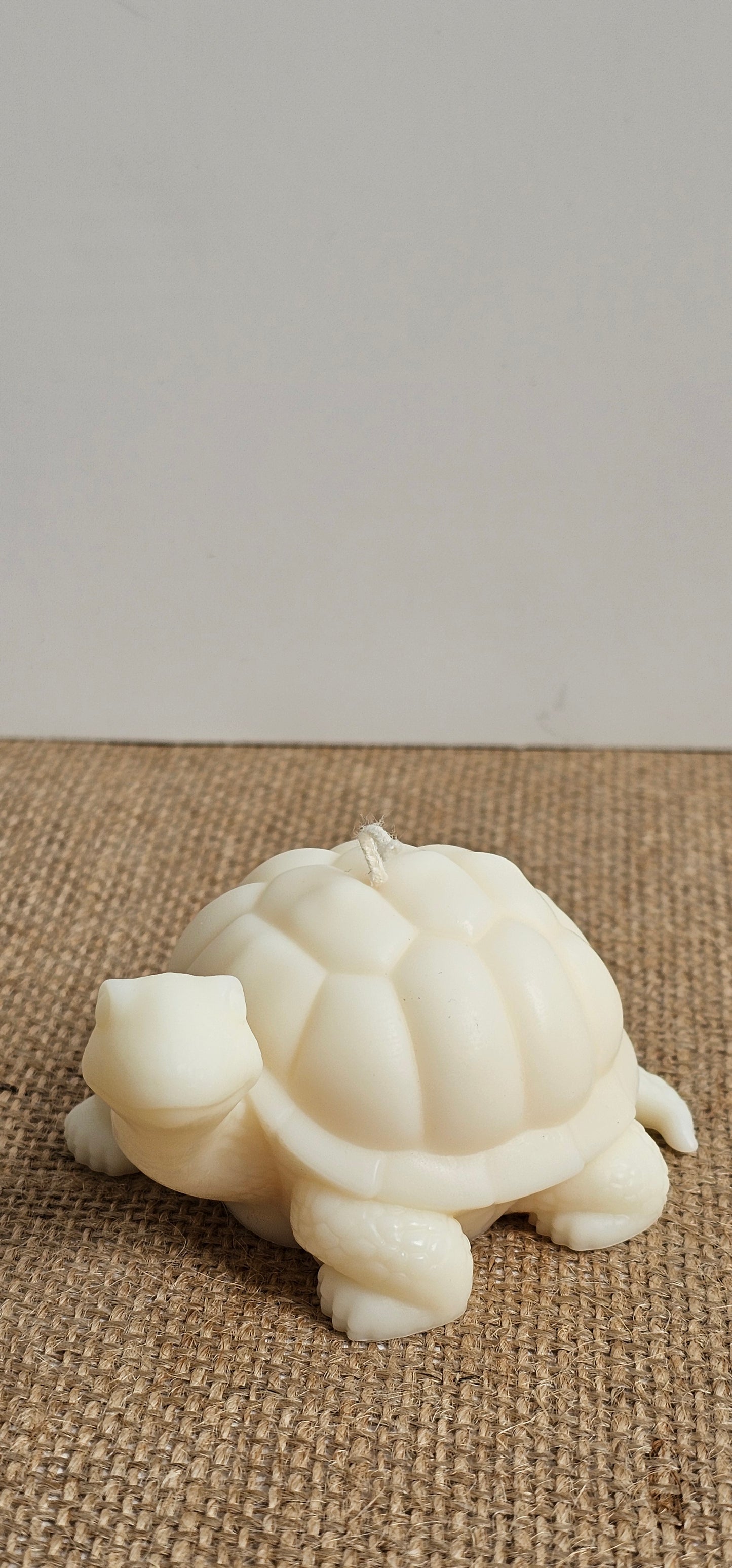 Schildpadje medium