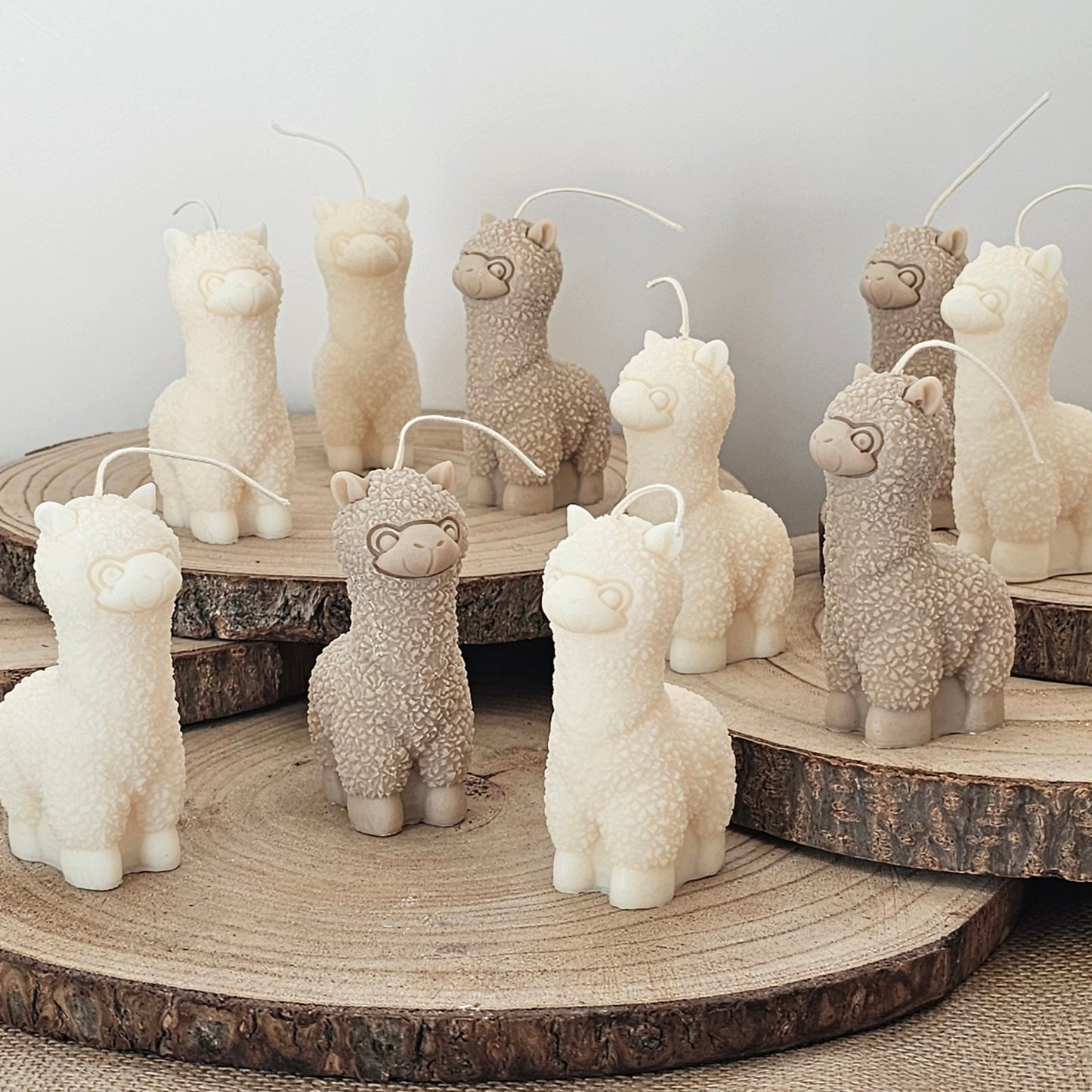 Alpaca