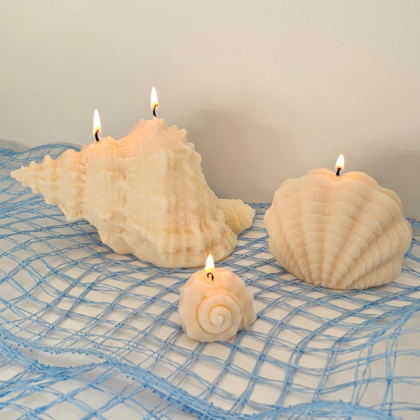 Schelpen - Set
