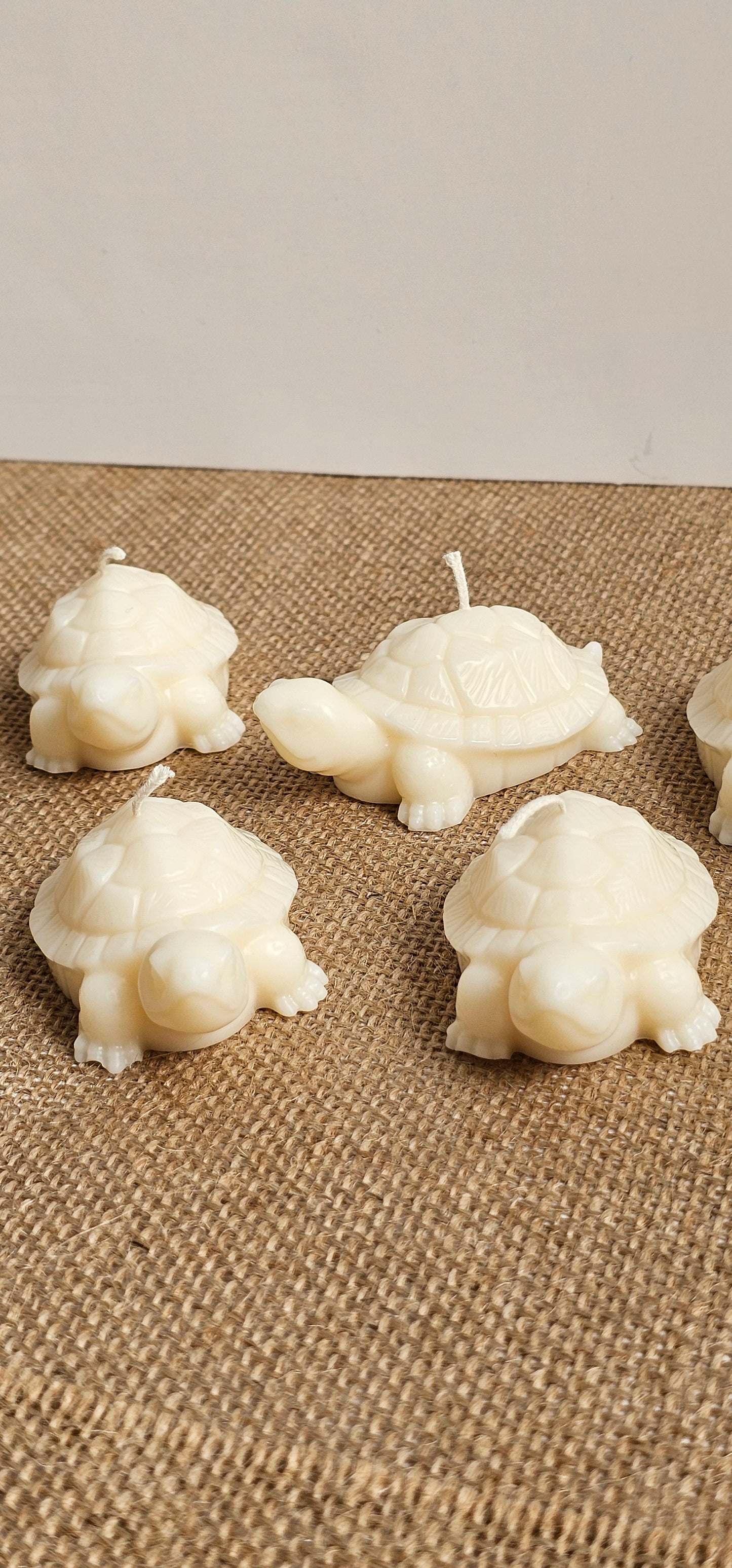 Schildpadje