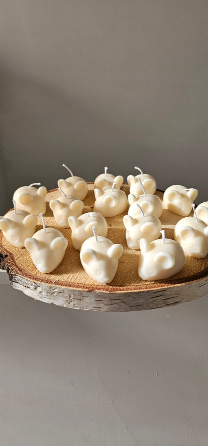 Lot 15 witte muisjes