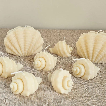 Schelp Twist Klein