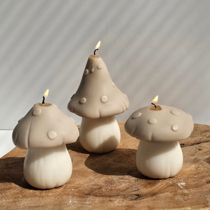 Set paddenstoelen