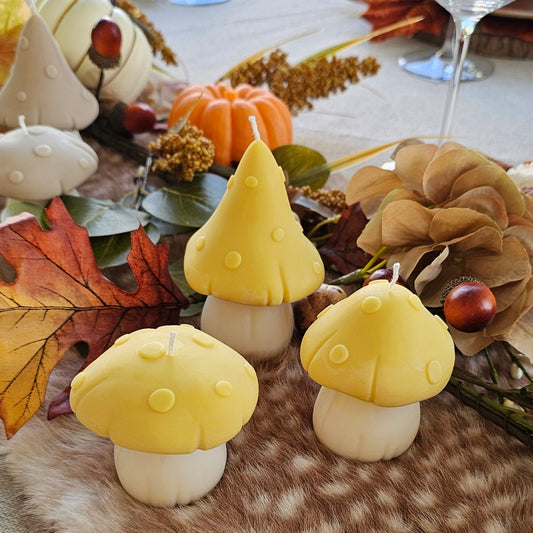 Set paddenstoelen