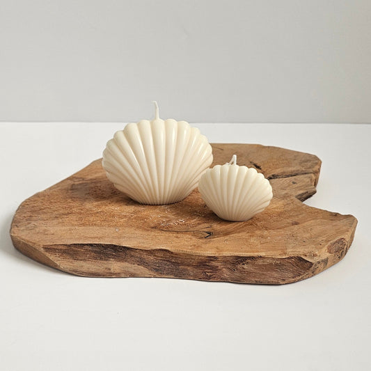 Schelpen - Set