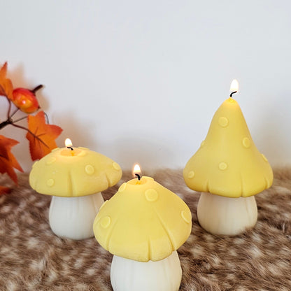 Set paddenstoelen