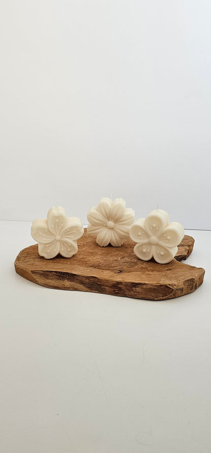 Bloem - Set
