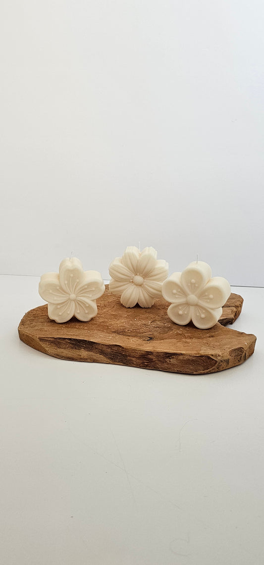 Bloem - Set