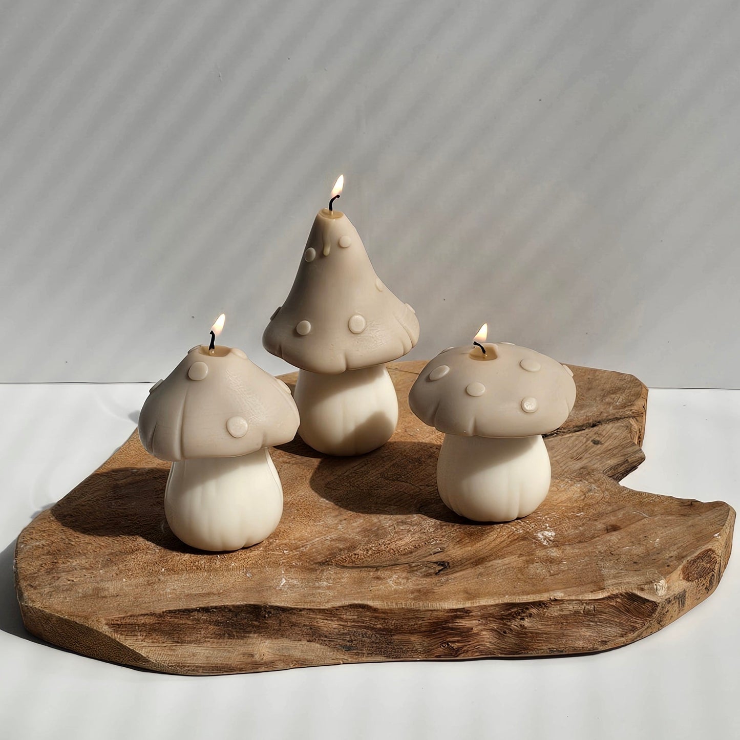 Set paddenstoelen