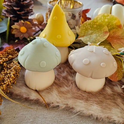 Set paddenstoelen