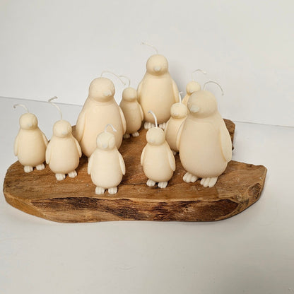Pinguïn